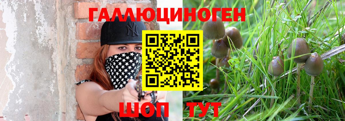 Псилоцибиновые грибы мухоморы Алексин