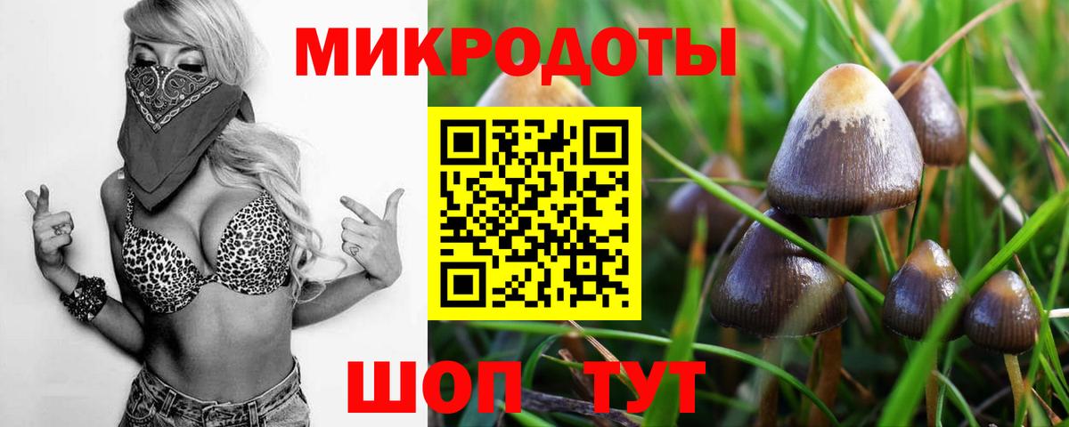 Галлюциногенные грибы GOLDEN TEACHER  Вход с VPN  Псилоцибиновые грибы Psilocybine cubensis  купить наркотик  Алексин 